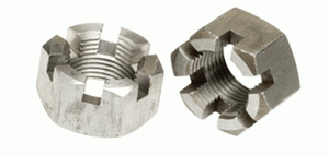 Picture for category Slotted Nuts